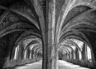 Arches by Lynn Healy (beginners)